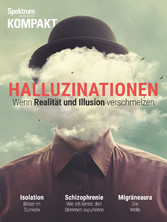 Spektrum Kompakt - Halluzinationen - Wenn Realität und Illusion verschmelzen